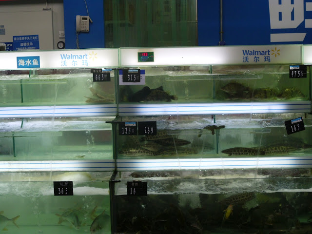 Peixes vivos em supermercado chinês