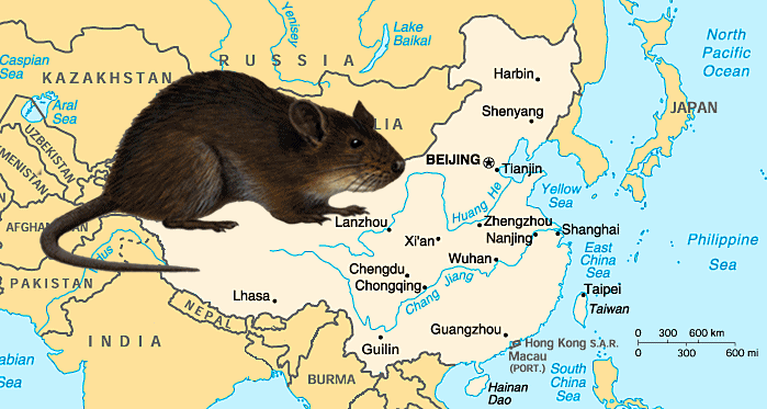 bubonic plague in China