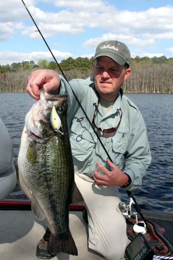 Jeff Samsel Fishing: Ginormous Bluegills & Bonus Bass