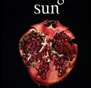 Midnight Sun (Stephenie Meyer): Kisah Asmara Vampir dan Manusia Melalui Kacamata Edward Cullen