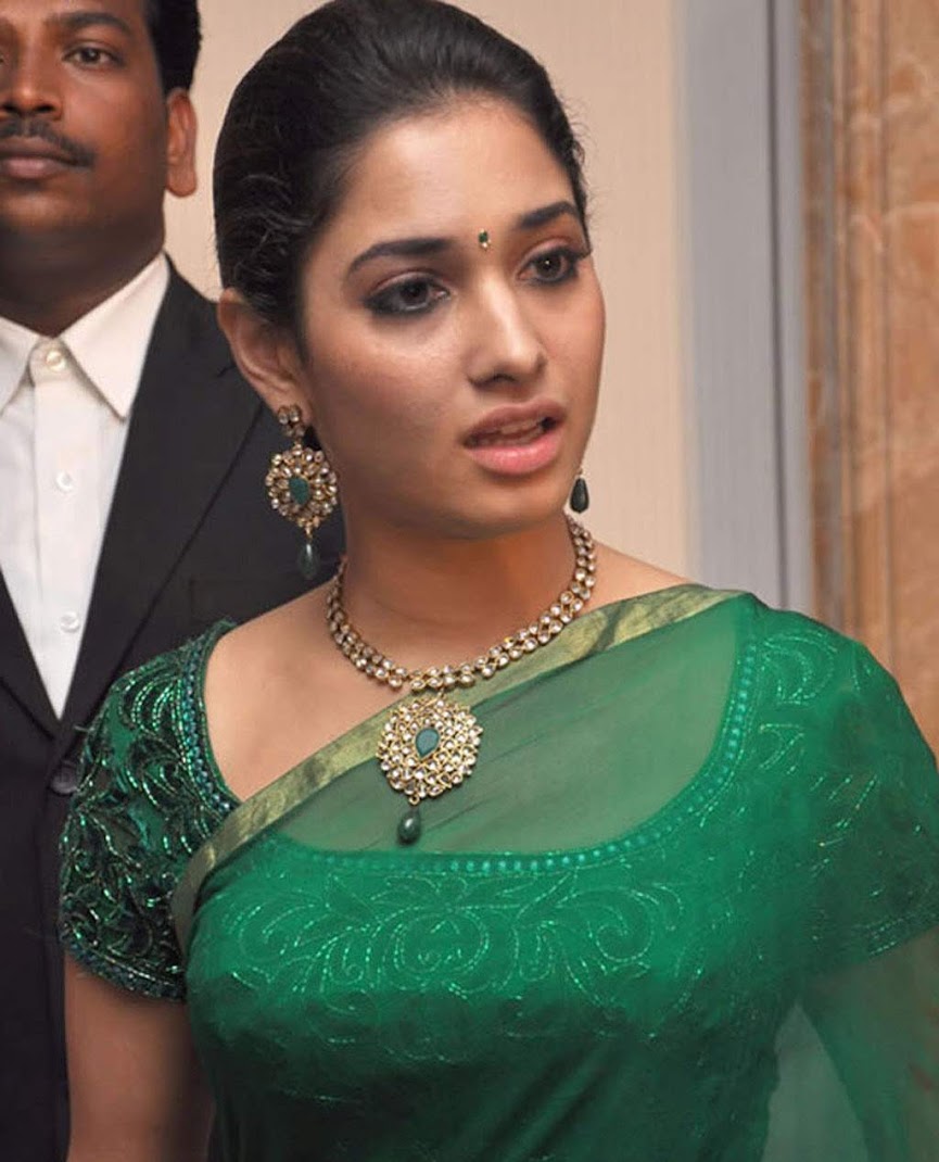 Tamil Actress In Saree - Hot Pics