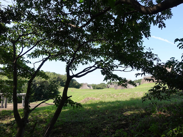 むきばんだ史跡公園の弥生の森