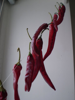 Hot red peppers from the Strathcona Farmers' Market drying in our kitchen