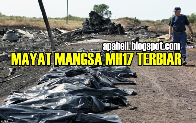 Tragedi MH17 : Bila Mayat Mangsa Dibiarkan Tanpa Tujuan (14 Foto Gambar)