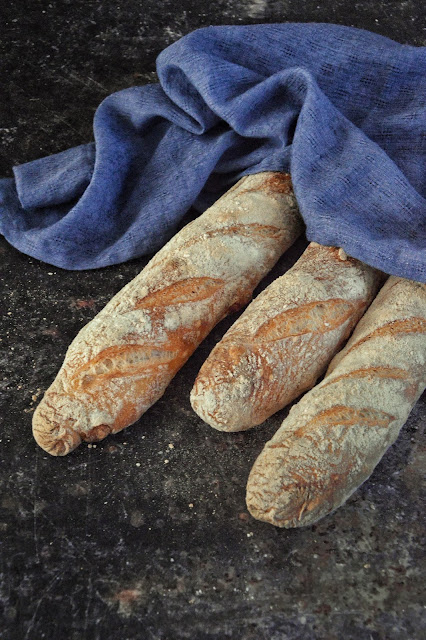 BAGUETTE A LIEVITAZIONE NATURALE