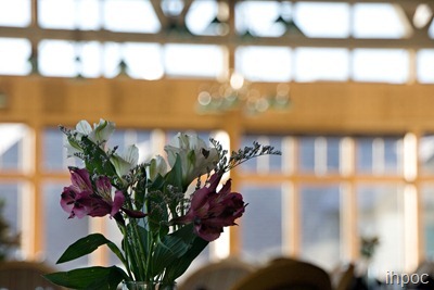 IMG_0960 copy