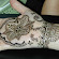 Bridal Mehndi Pattern