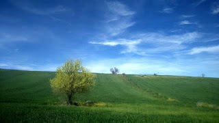 cuadros-paisajes-naturales-realistas