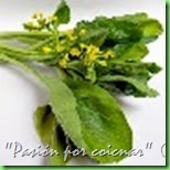 BRÓCOLI CHINO