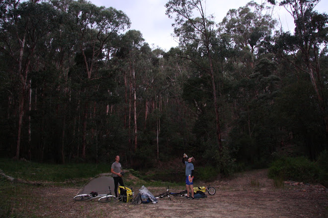 Clearing In The Woods. Clearing in the Woods Campsite