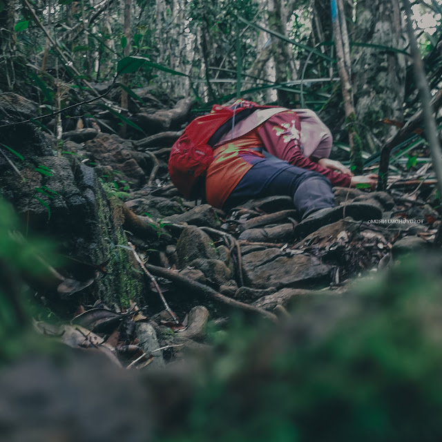 Hiking di Gunung Silam Lahad Datu