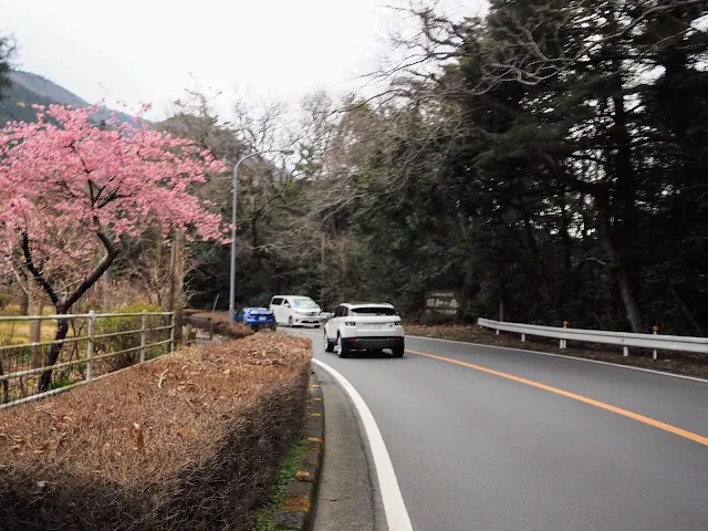 下田街道