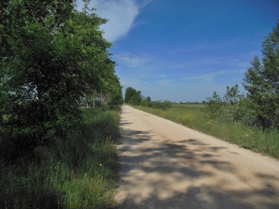 Camino, Meseta, Jola Stępień