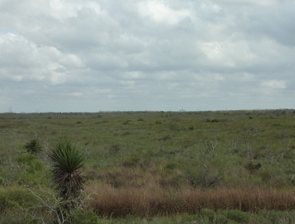P1130666