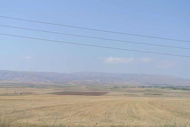 DSC_8648