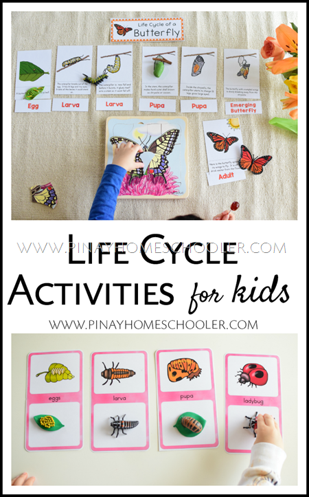 Life Cycle Activities for Toddlers, Preschoolers, and Gradeschoolers