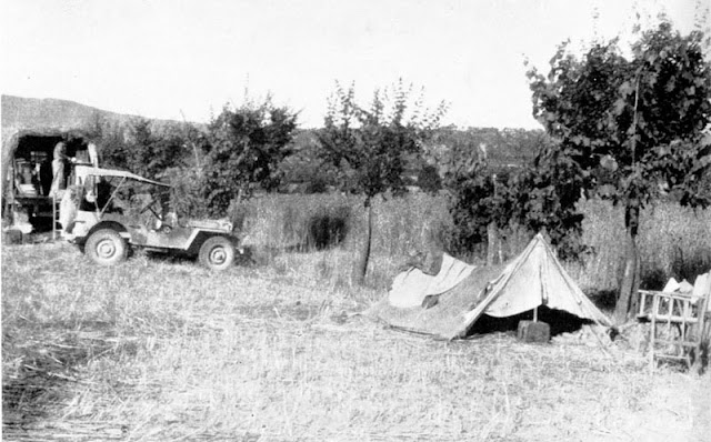 South African 6th Armoured Division, Tent, Jeep,15cwt truck, Italy 1944, 1945