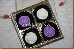 Coklat 16.3.2011 058