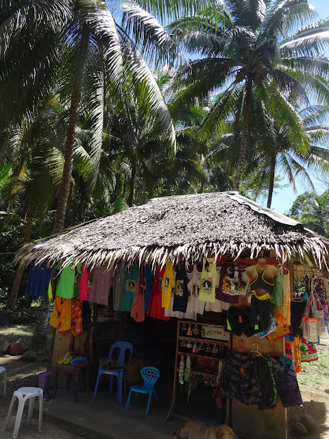 kawasan moalboal cebu philippines