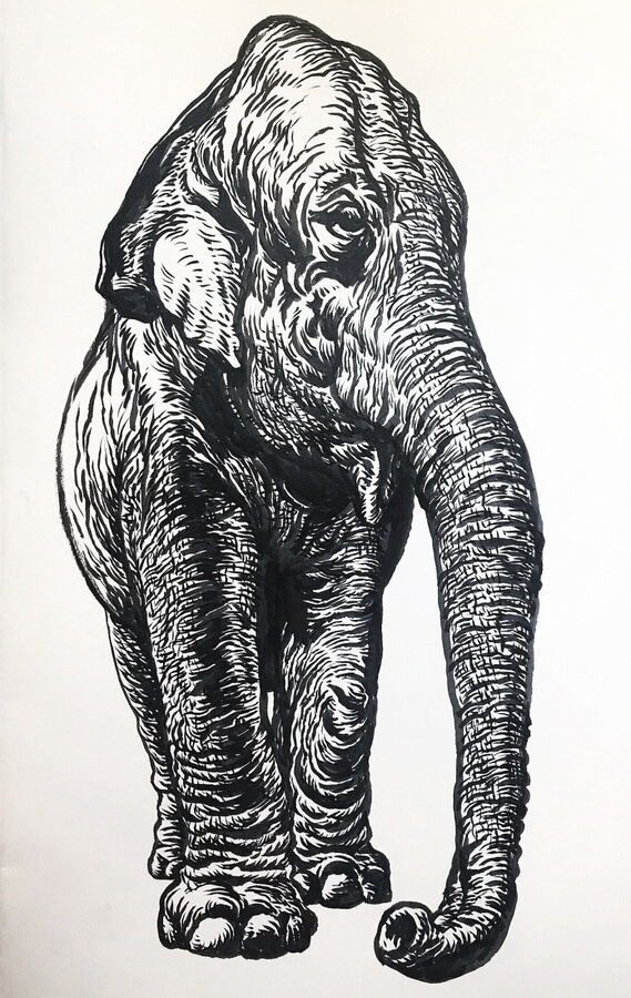 07-Majestic-elephant-Animal-Drawings-Guno-Park-www-designstack-co
