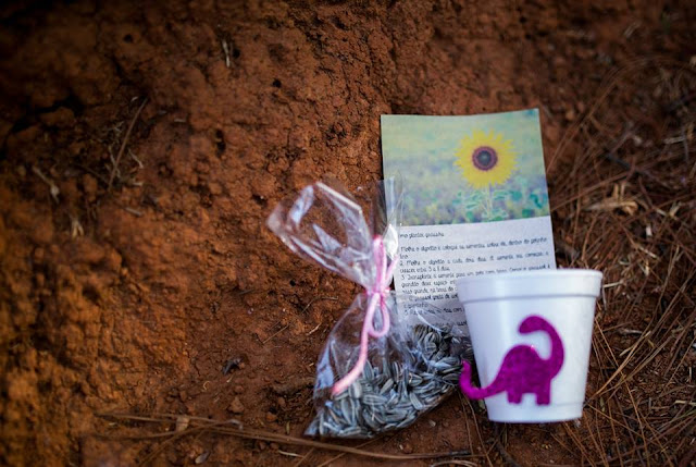 lembrancinhas ecológicas, girassol, aniversário no parque, aniversário dinossauro, menina