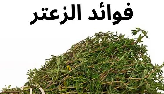 فوائد الزعتر للجسم