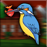 Hungry Kingfisher Escape Walkthrough