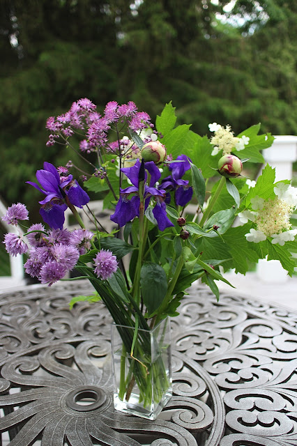 The Garden Appreciation Society -- Thalictrum, iris, viburnum, chives