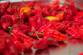 naga morich