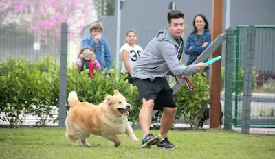 parque para cães em balneário camboriú