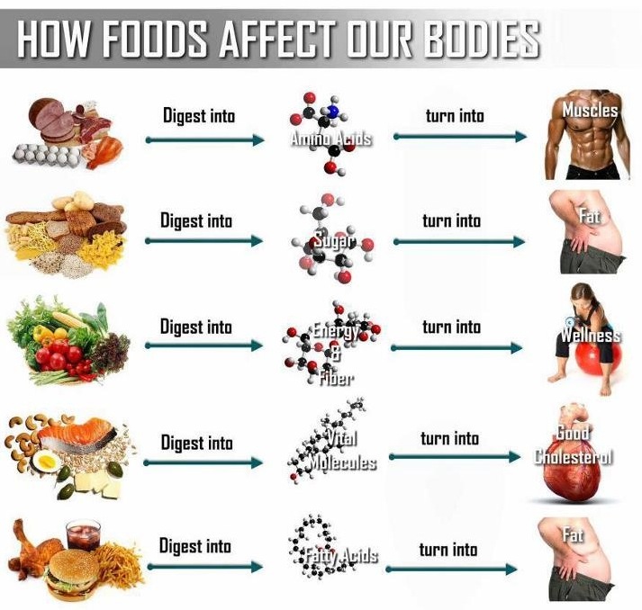 The Healthy Boy: Junk Food Vs Healthy Food