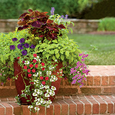 Container Gardening on The Everyday Home  Container Gardening