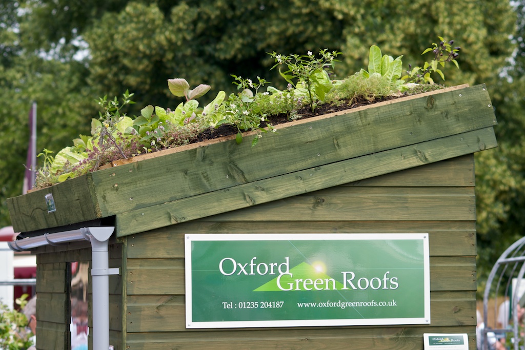 green roofed shed (above) and (below) the sort of sedum matting roofs ...