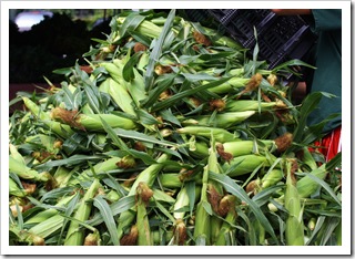 corn migliorelli