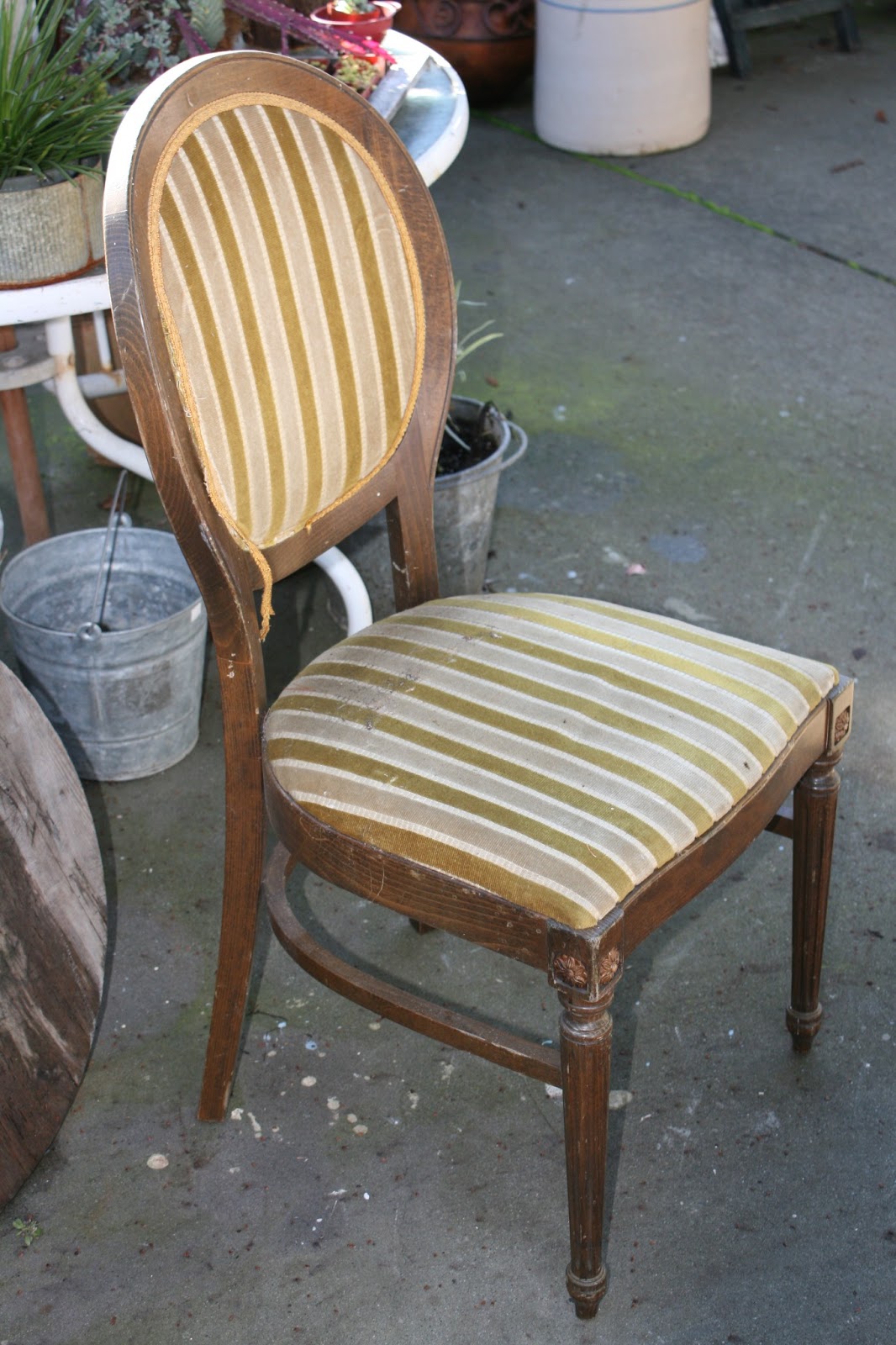 reloved rubbish round back dining chairs