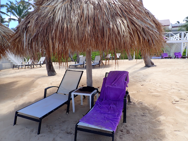 My "home" for one of the days. A palapa with 2 loungers underneath, one sporting a purple beach towel.