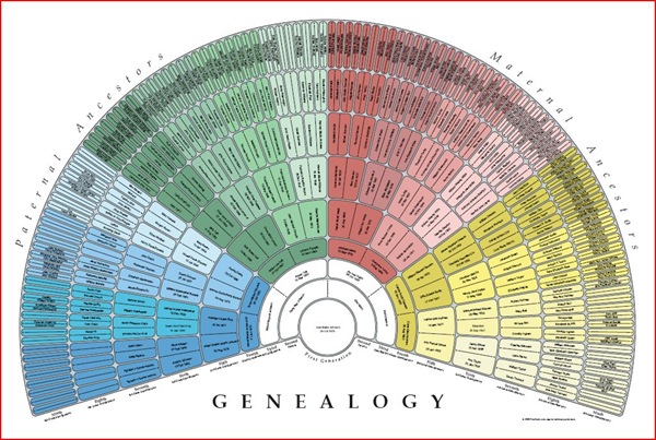 Genealogy fan