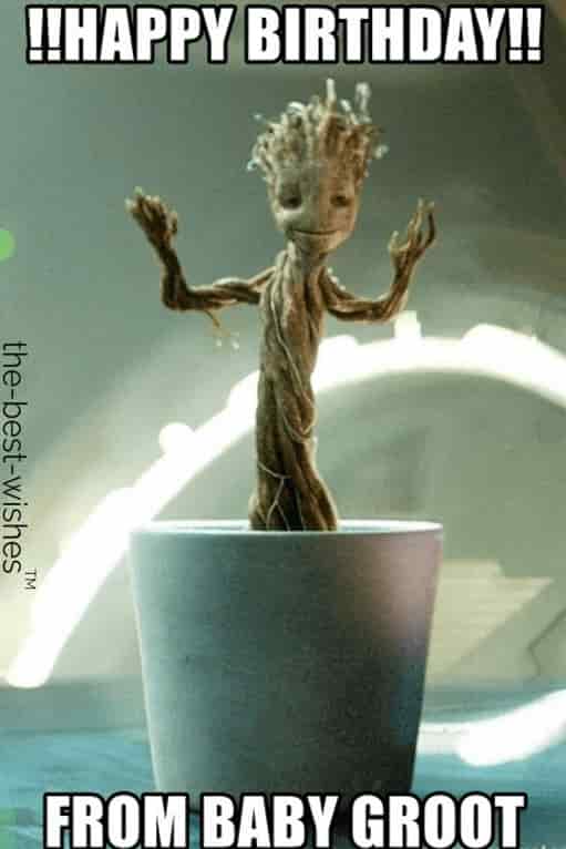 baby groot wishing you happy birthday meme