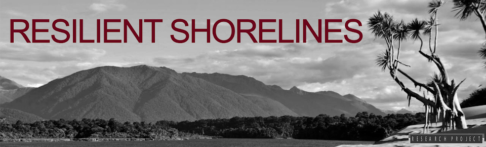  Resilient Shorelines | natural solutions for nature's extremes