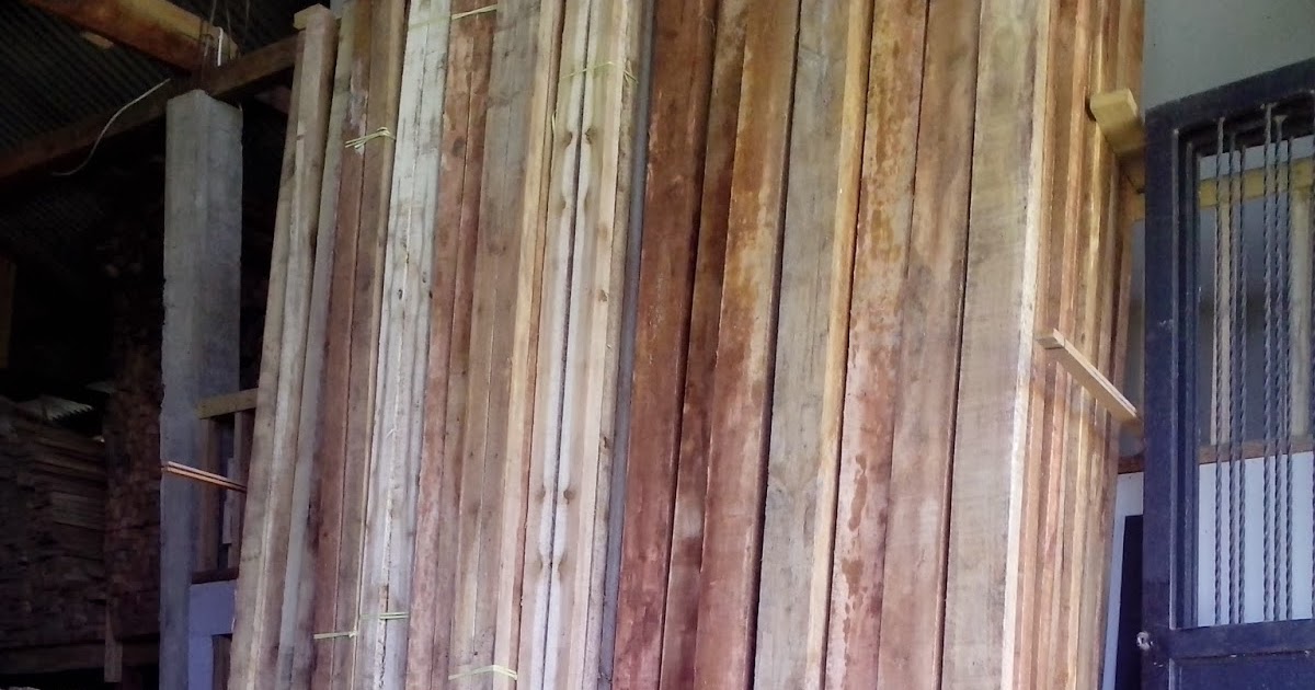 Kayu Albasia - Berjuta Manfaat ~ Bahan Bangunan Online Bandung