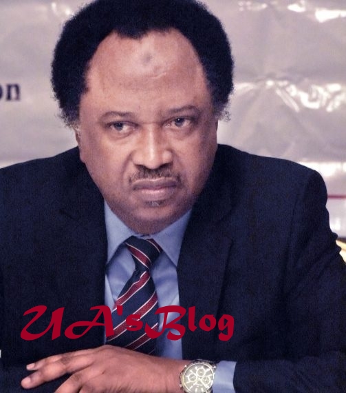 North can’t retain power, punish Igbo forever, says Shehu Sani