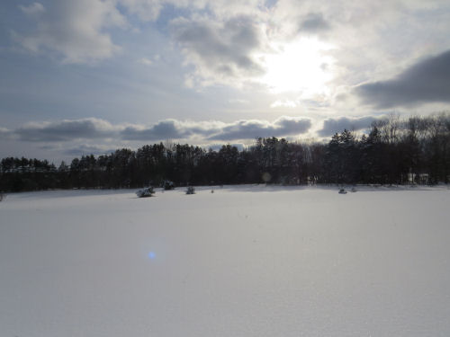 winter landscape