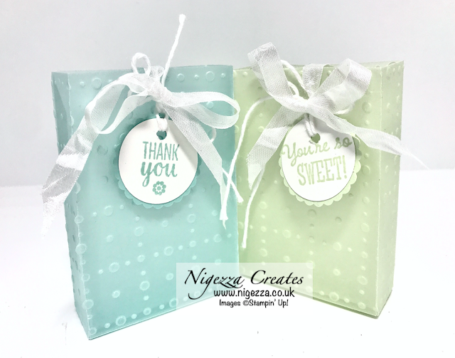 Nigezza Creates with Stampin' Up! Facebook Live Replay: So Very Vellum Gift Bag