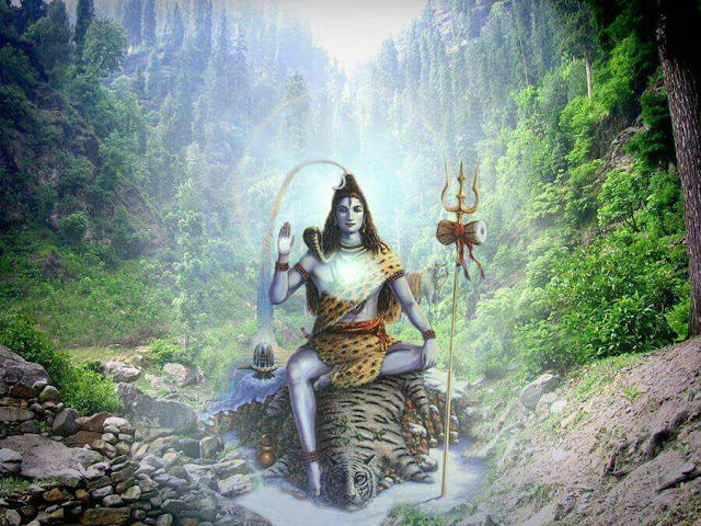 Lord Shiva in forest