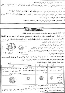 تمارين فصل تعضي الجهاز التناسلي عند المرأة وفيزيولوجيته