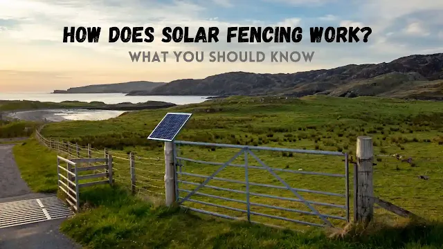 What you should know about solar electric fence