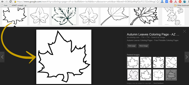 leaf
