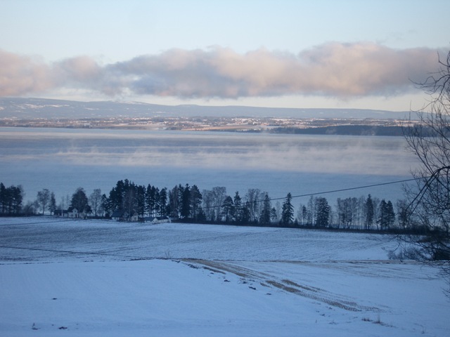 Jan2009 045