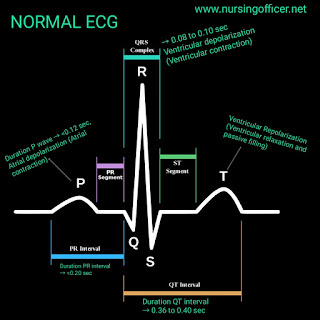 ecg reading, ecg machine, ecg interpretation, ecg leads, ecg basics, a normal ecg, ecg chest leads, ecg explained, ecg explanation, ecg electrodes, ecg graph, ecg heart rate, ecg in hindi, ecg lecture, ecg lead placement, ecg lecture in hindi, ecg limb leads, ecg procedure, ecg paper, ecg rhythms, ecg test normal report hindi, ecg youtube video, ecg 12 lead, ecg 12 lead interpretation, ecg 10 leads placement, ecg 12 leads placement, ecg 3 lead placement, ecg 5 leads placement, 5 ecg lead placement, Nursing officer