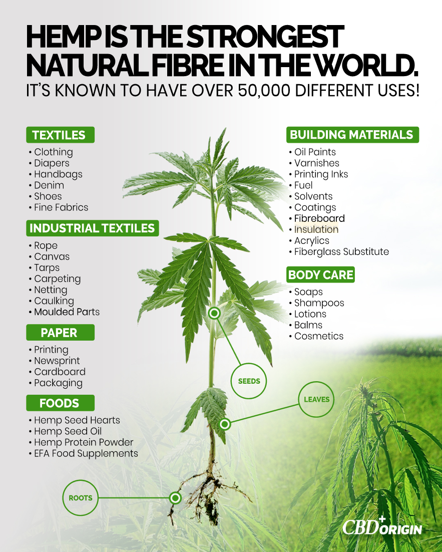 Hemp plant uses